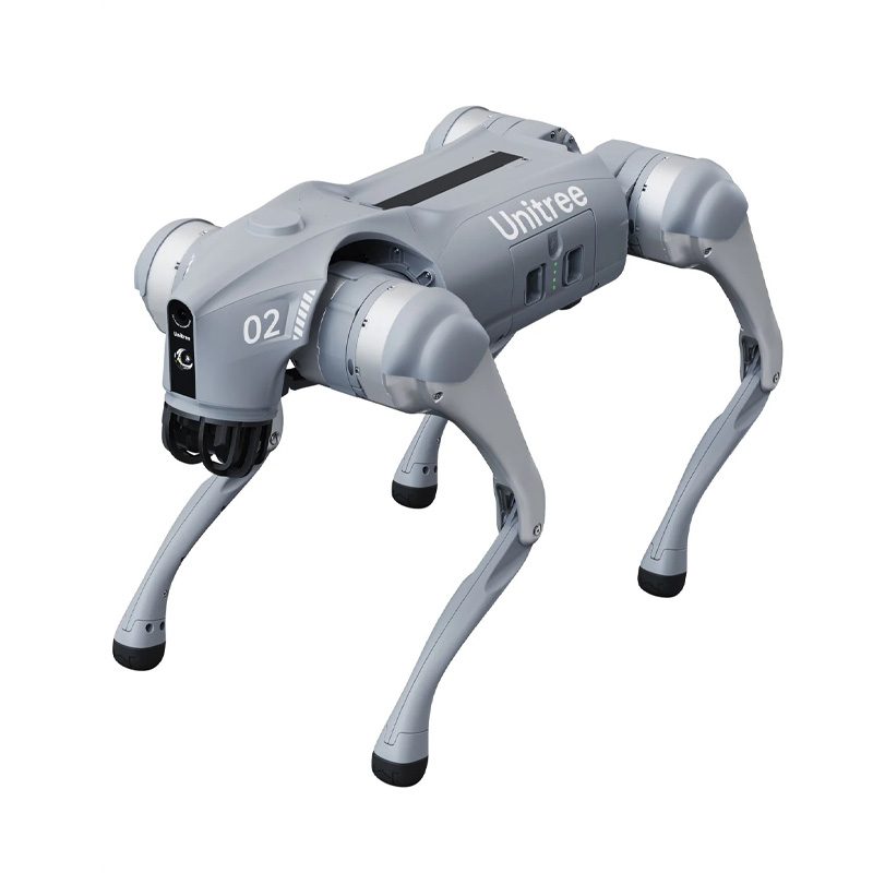Unitree Go2 Robot Dog Wedding